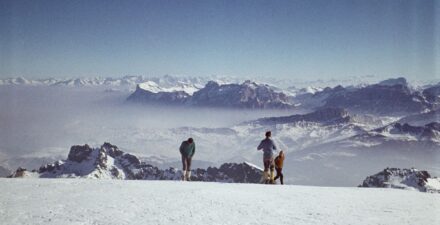 Zbigniew Wach, Janusz Skorek, Marian Piekutowski