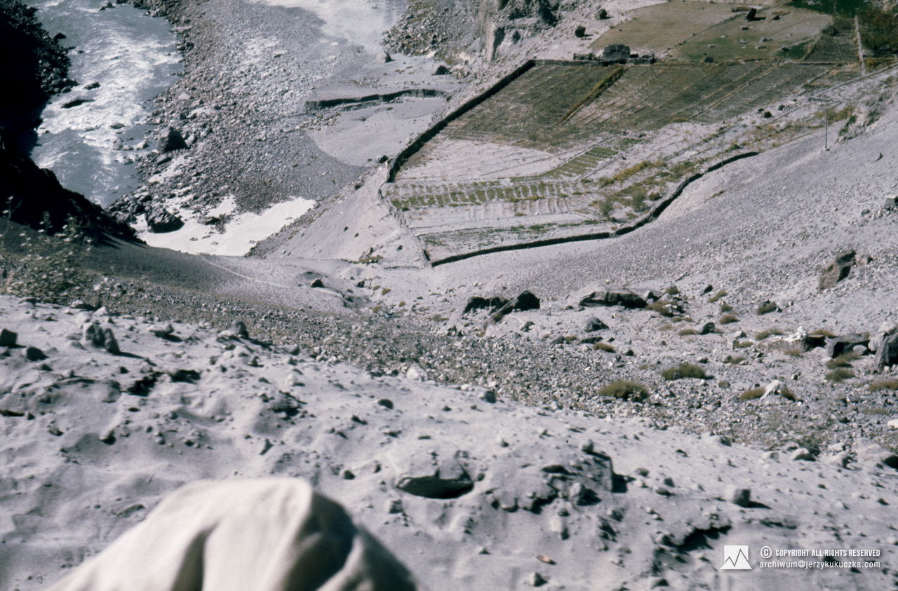 A farmland in Pakistan.