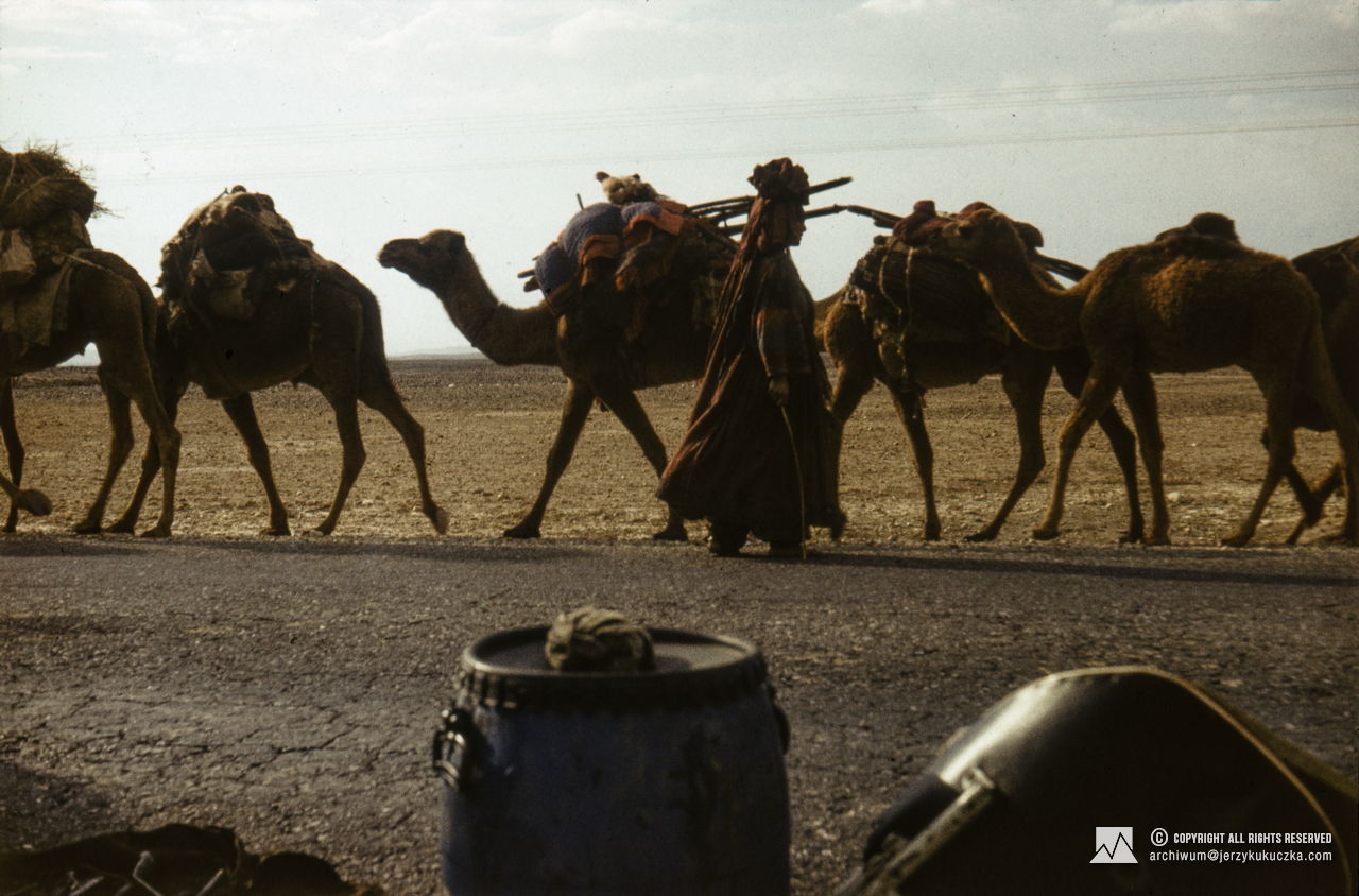 Camel shepherds in Afghanistan. Return of the participants of the expedition to Poland. Route from Islamabad to Katowice.