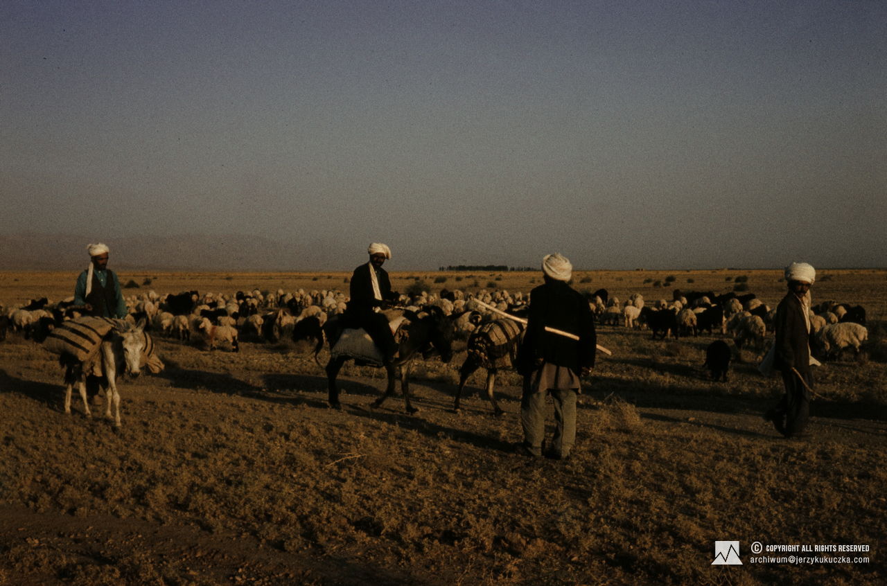 Shepherds near the Iran-Afghan border. Travel of the participants of the expedition. Route from Katowice to Islamabad.