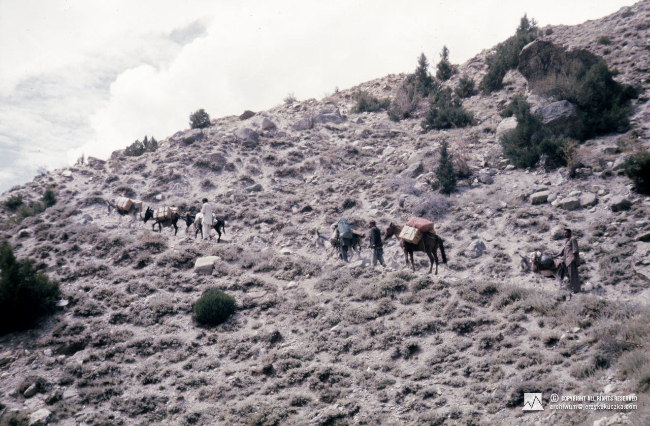 Caravan on its way to base.