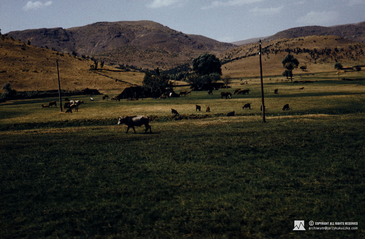 Travel of participants through Turkey. Route from Katowice to Islamabad.