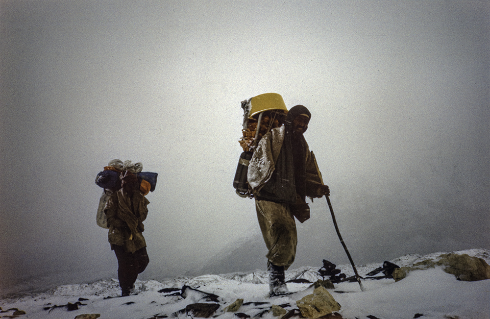 En primer plano porteador con huevos de la gallina en su espalda.